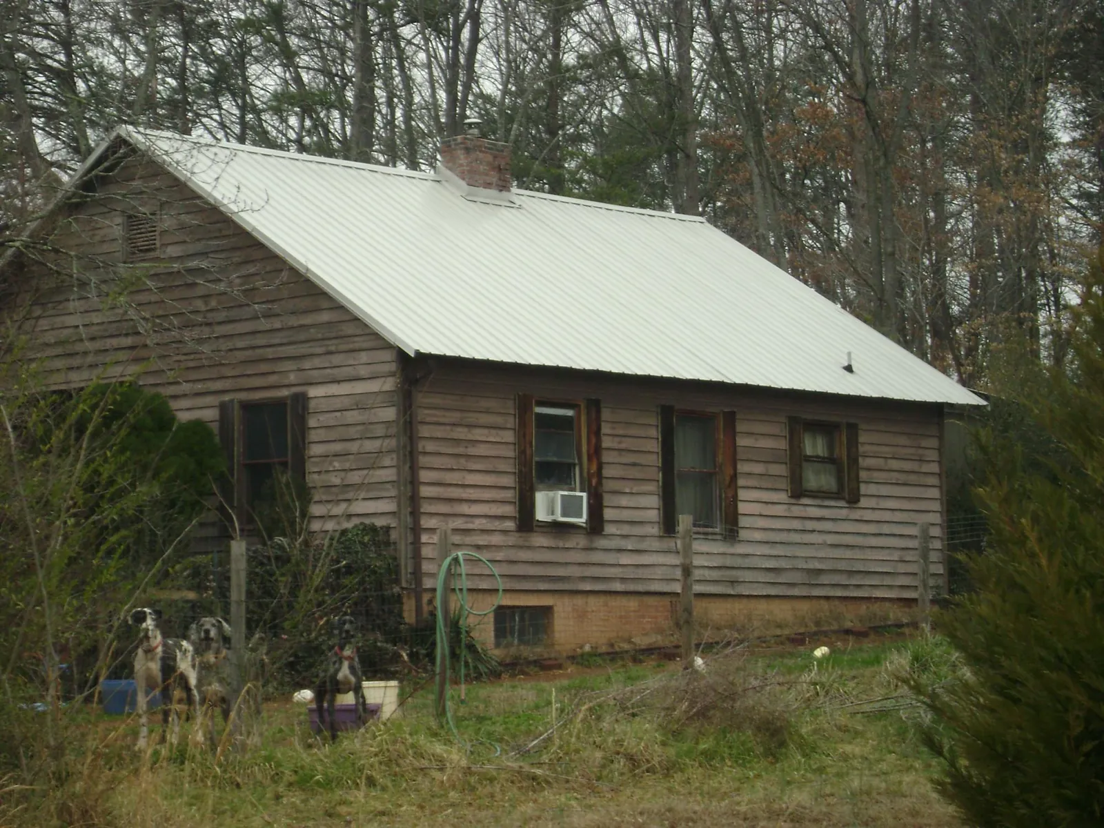 White metal roof on an old wood sided farmhouse, from a Metal Roof Installation job in Canyonville